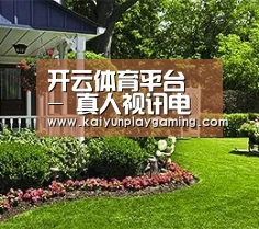 开云体育平台 - 真人视讯电竞娱乐