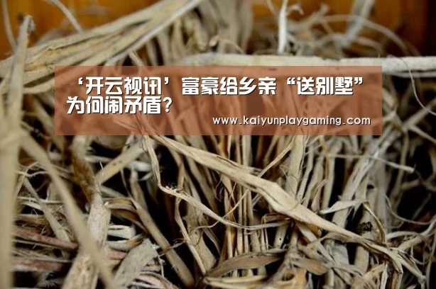 开云视讯