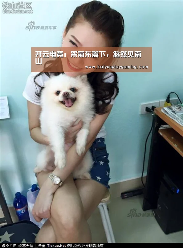 开云电竞