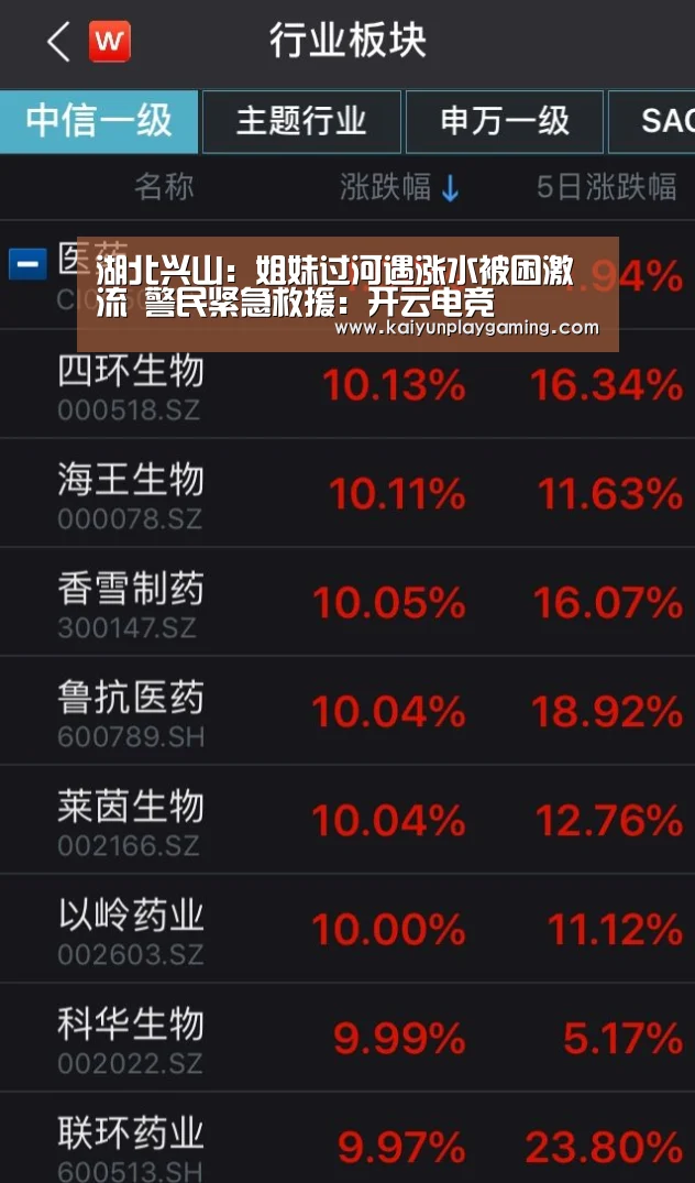 开云真人