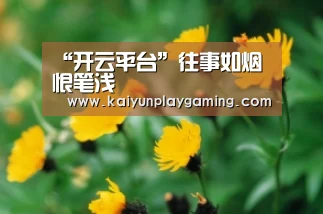 开云真人