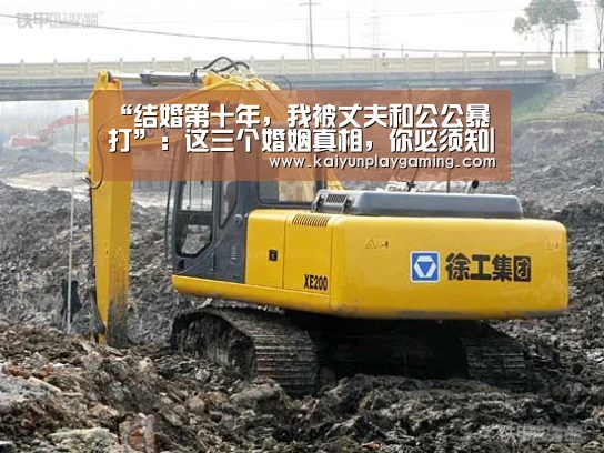 “结婚第十年,我被丈夫和公公暴打”:这三个婚姻真相,你必须知|开云真人(图4) 开云视讯