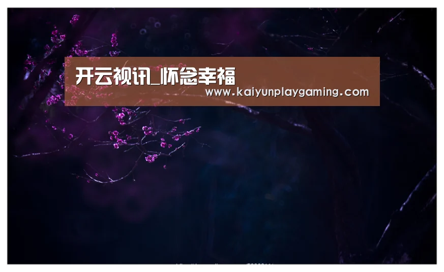 开云视讯_怀念幸福(图3) 开云电竞