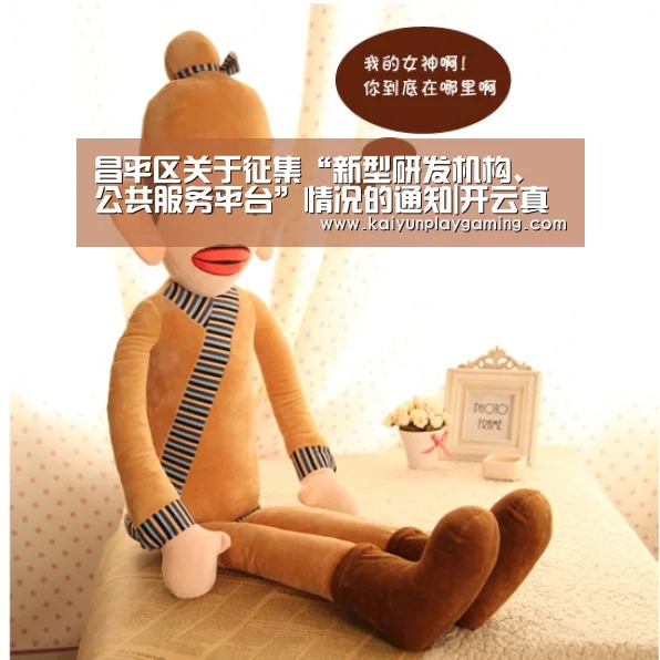 昌平区关于征集“新型研发机构、公共服务平台”情况的通知|开云真人(图3) 开云真人