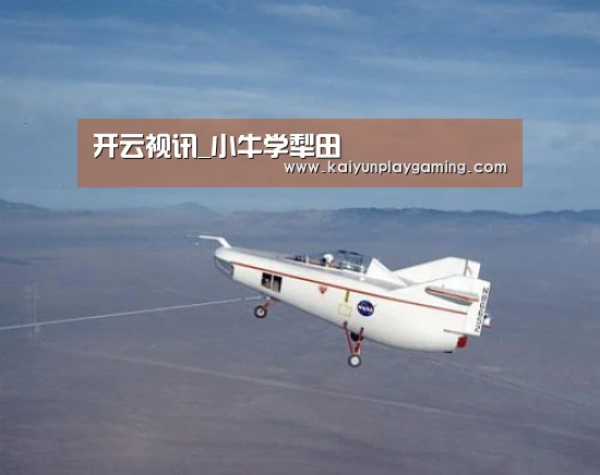 开云视讯_小牛学犁田(图1) 开云平台