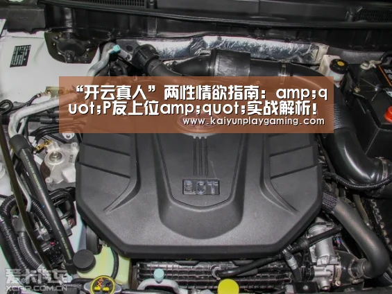 “开云真人”两性情欲指南:amp;quot;P友上位amp;quot;实战解析!(图2) 开云平台