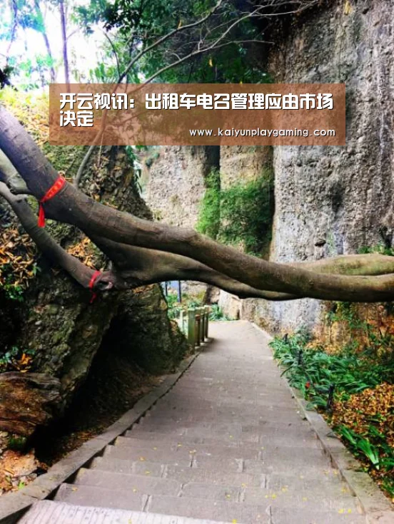 开云平台