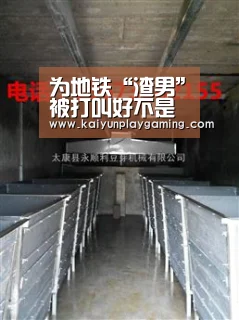 开云电竞